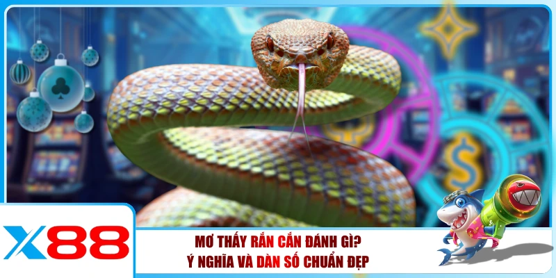 Mơ Thấy Rắn Cắn Đánh Gì